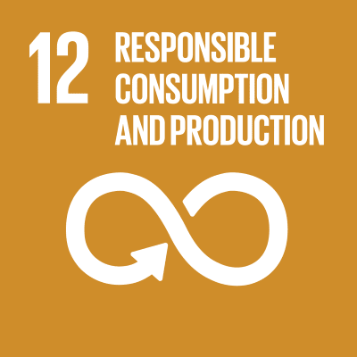 12.Ensure sustainable consumption and production patterns