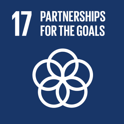 17.Strengthen the means of implementation and revitalize the Global Partnership for Sustainable Development