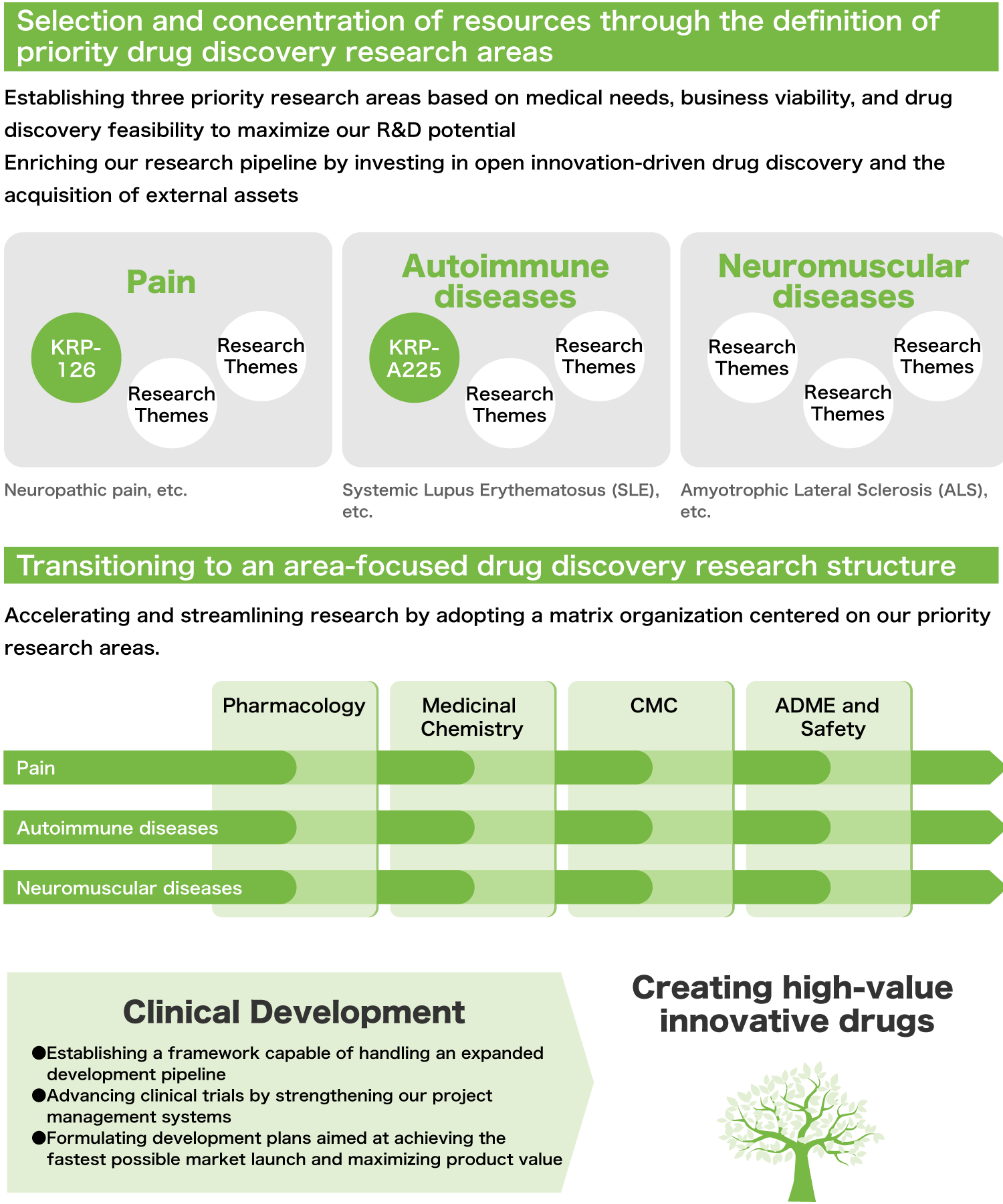 Image: Enriching the scope and improving the quality of research themes through a therapeutic area-focused R&D structure
